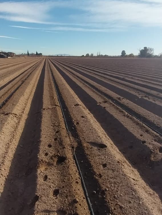 Preparación del Suelo